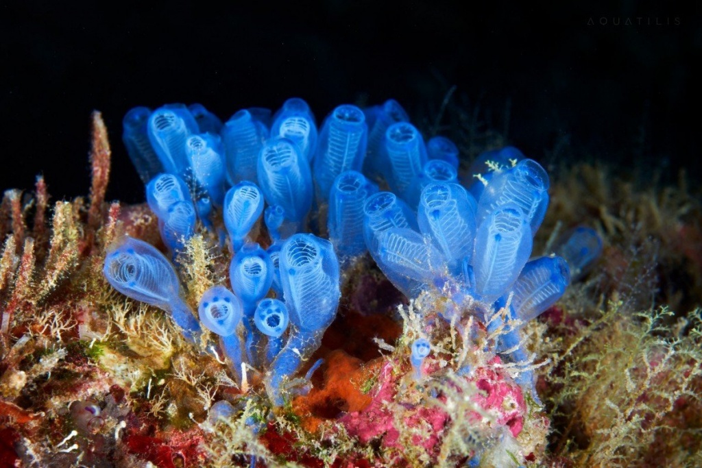 s1200.jpg s1200.jpg
